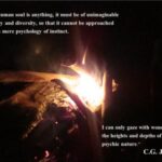 Jungian Therapy & the Heart of Soul Work: A Quote