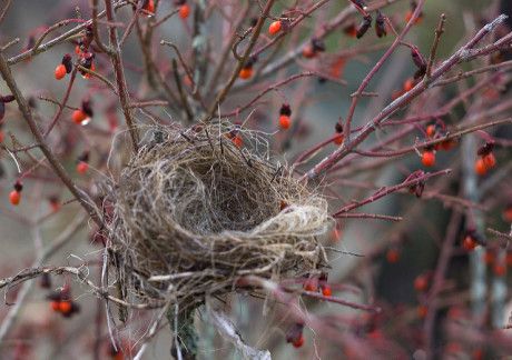dealing with empty nest syndrome