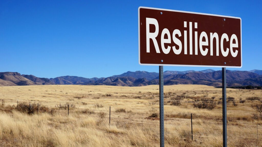 resilience and meaning